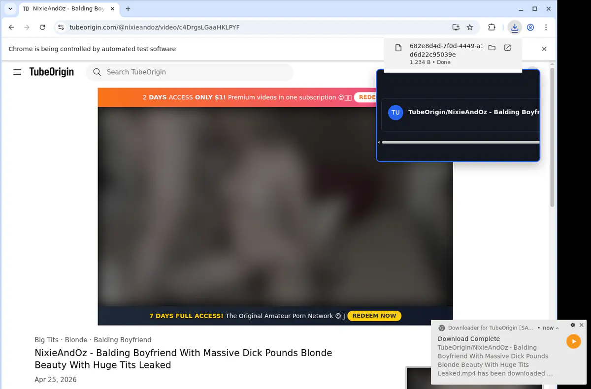 Tubeorigin Video Downloader browser extension screenshot 2