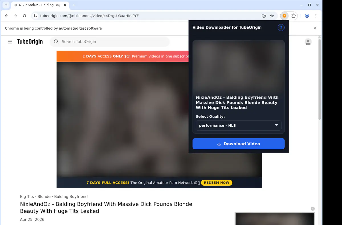 Tubeorigin Video Downloader browser extension screenshot 3