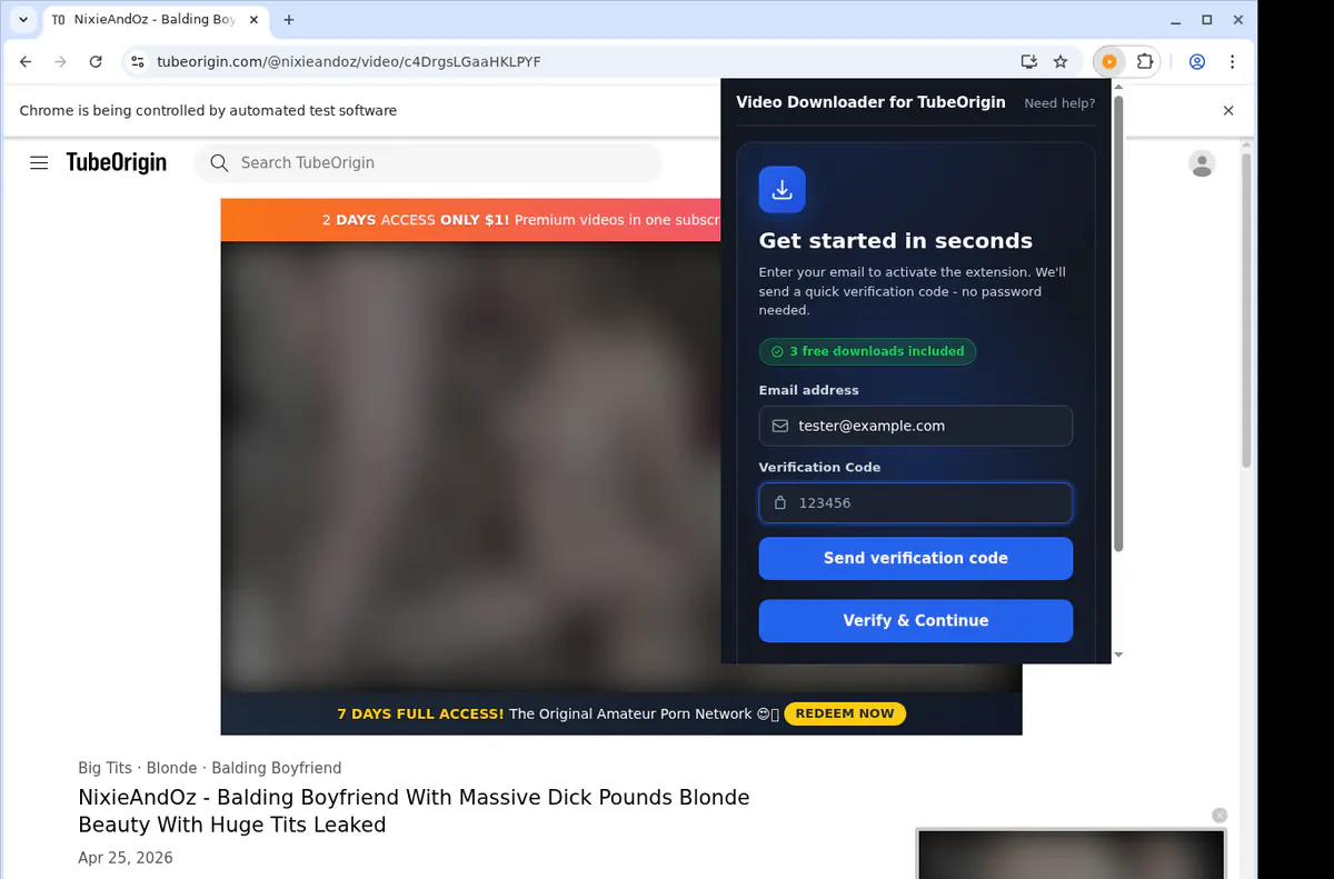 Tubeorigin Video Downloader browser extension screenshot 4