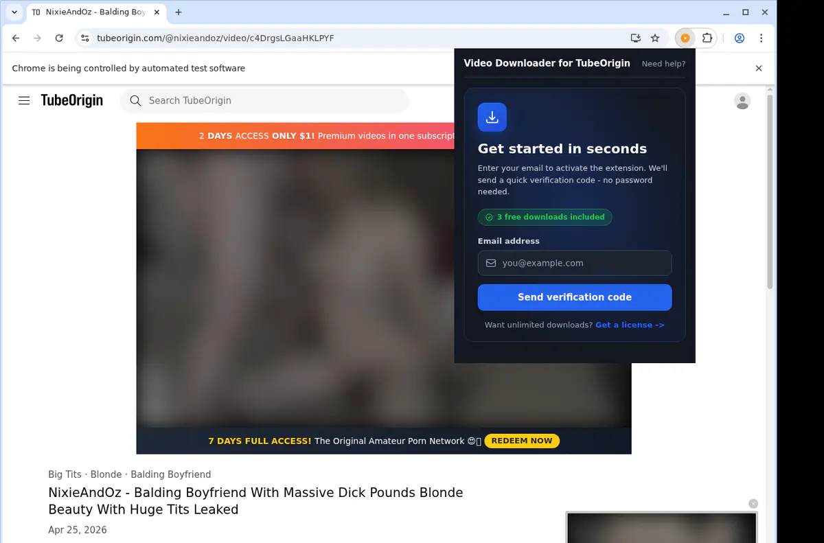 Tubeorigin Video Downloader browser extension screenshot 5
